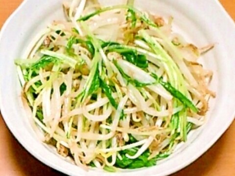もやしと水菜の和え物【シリコンスチーマで簡単！】